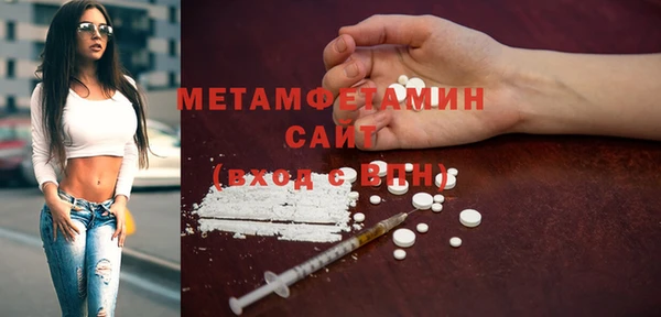 индика Ладушкин