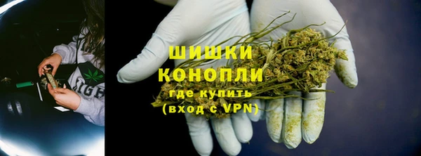 Альфа ПВП Няндома