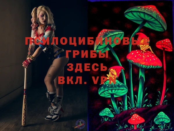 Альфа ПВП Няндома