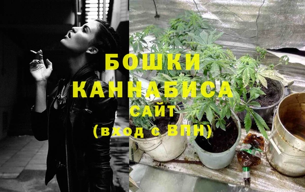 ALPHA-PVP Осинники