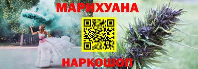 прущие крисы Гусев