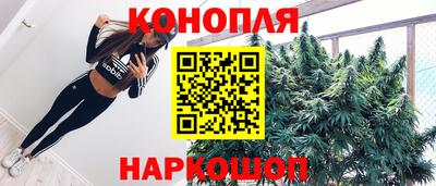 прущие крисы Гусев