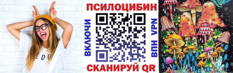 Галлюциногенные грибы Psilocybe  наркота  Котельники 