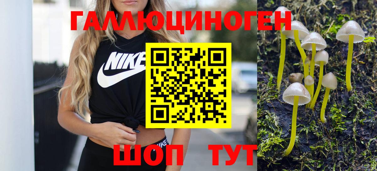 наркота  Вход с VPN  Галлюциногенные грибы Psilocybe  Котельники  Псилоцибиновые грибы Psilocybe 